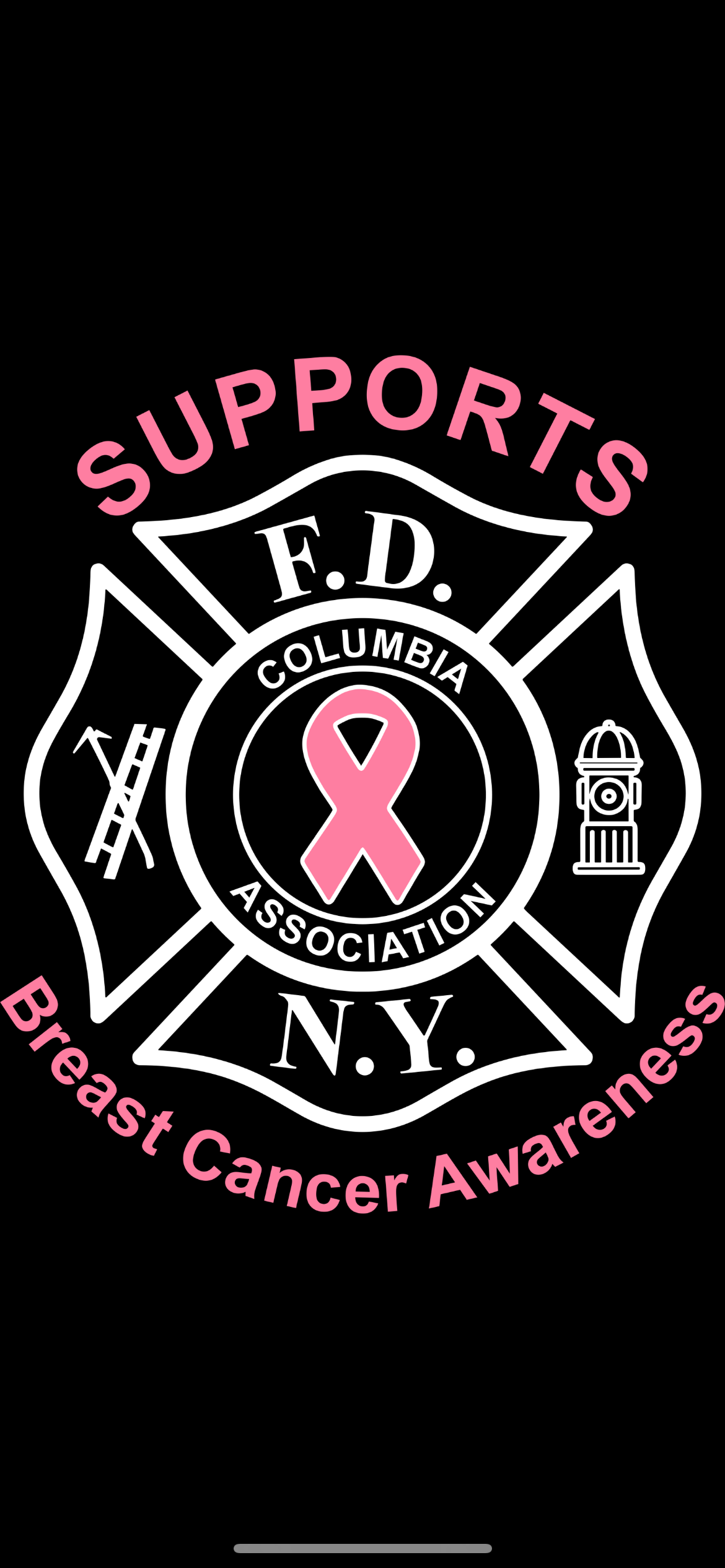 Breast Cancer ShirtL